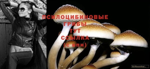 бутират Абинск