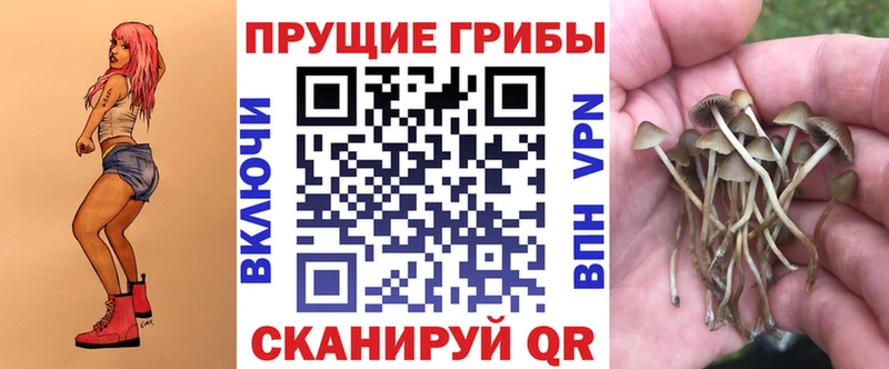 нарко площадка официальный сайт  купить   Трубчевск  Галлюциногенные грибы ЛСД 